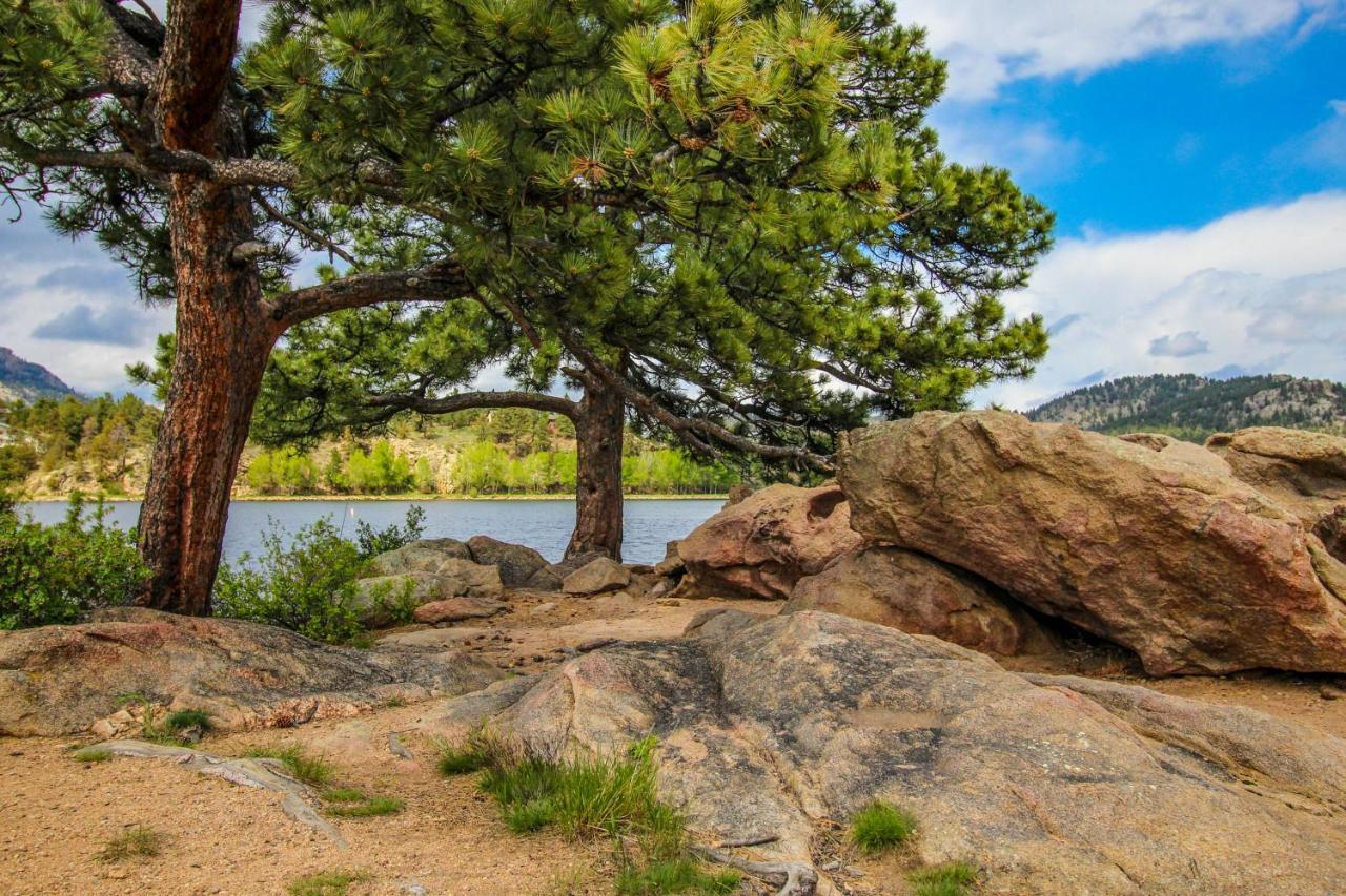 Twin Pines Cabin Estes Park Exterior photo